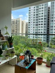 A Treasure Trove (D19), Condominium #542876451